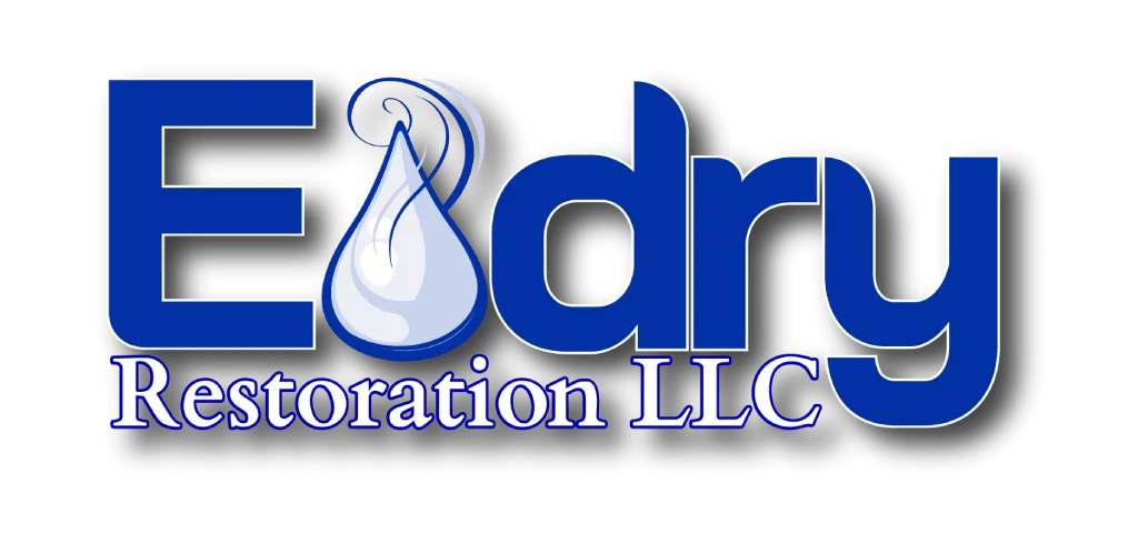 edry-restroation-logo